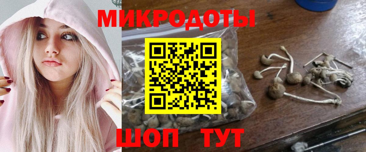 Надым  Псилоцибиновые грибы прущие грибы  Вход с VPN  Галлюциногенные грибы GOLDEN TEACHER 
